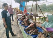 Ikan Sale Ciri Khas Makanan Kotapinang.