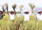 Bupati Simalungun Hadiri Panen Raya Huta Bayuraja