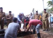 Pemkab Labusel Sembelih 56 Ekor Lembuh Qurban.