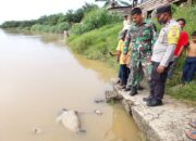 Warga Temukan Mayat Mengambang Di Sungai Labuhan Kotapinang