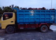 Reskrim Langga Payung Tangkap TBS Curian Milik Kebun PTTN.