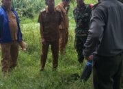 Warga Resah Munculnya Buaya Katak Di Sungai Mahuam