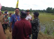 Bupati H Edimin Laksanakan Pembagian Bibit dan Benih, Pupuk Pestisida dan Alisintan