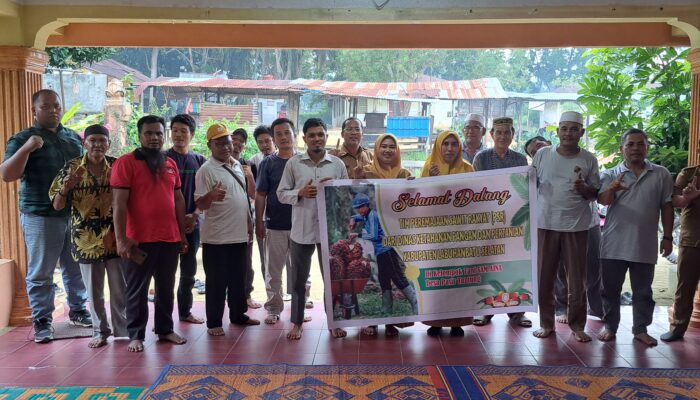 Dinas Ketahan Pangan Dan Pertanian Siap Bantu Petani Dalam Program PSR.