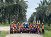 PLN ULP Kotapinang Terus Tingkatkan Keandalan Distribusi Listrik Di Labusel.