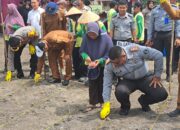 Kalapas Kotapinang Andil Dalam Proses Penanaman Benih Jangung Program Presiden.