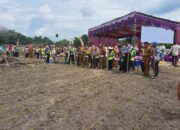 Penanaman Jagung Serentak Satu Juta Hektar Program Presiden RI, Berpotensi Hanya Serimoni Aja.