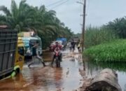 Jalan Lintas Dusun Solat Desa Tanjung Mulia Rusak Parah, Warga Kesulitan Melintas