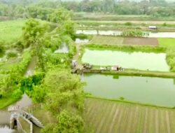 Mengenal Desa Rejoagung, Potensi Desa Meningkat Setelah Program Penataan Akses Reforma Agraria