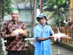 Tingkatkan Perekonomian Masyarakat, Kampung Reforma Agraria Desa Bandung Kembangkan Pembibitan dan Budidaya Ikan