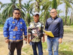 Kantor Pertanahan Labuhanbatu Selatan Lakukan Tinjau Lapang Permohonan KKPR CV Fatih Jaya