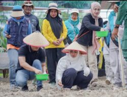 Bupati Labuhanbatu Tanam Padi Gogo di Panai Hulu, Dorong Ketahanan Pangan Daerah