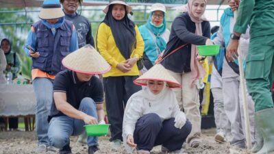 Bupati Labuhanbatu Tanam Padi Gogo di Panai Hulu, Dorong Ketahanan Pangan Daerah