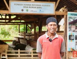 Reforma Agraria Buka Akses Warga Desa Nunuk Baru untuk Jalankan Usaha Ternak Domba