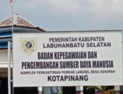 Lurah Kotapinang Kosong Sebulan “BKPSDM Dinilai Lamban, Pelayanan Publik Macet”