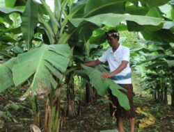 Perjalanan Reforma Agraria di Asahduren, Sertipikat Tanah Ulayat Buka Akses Ekonomi Masyarakat