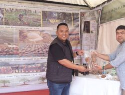 Paluta Expo 2025, Inovasi Gula Merah dari Umbut Sawit Jadi Pusat Perhatian