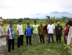 Jalan Kolaborasi Lintas Instansi Terbuka dari Reforma Agraria, Jadi Jawaban Penyelesaian Konflik di Desa Soso