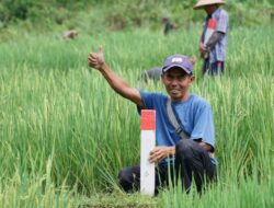 Mudik ke Kampung Halaman? Jaga Batas Tanah sebagai Langkah Awal Cegah Konflik Antartetangga