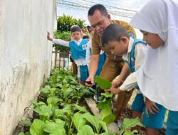 Kadisdik Labuhanbatu Panen Bersama Siswa TK Pembina, Tanamkan Edukasi Ketahanan Pangan Sejak Dini.