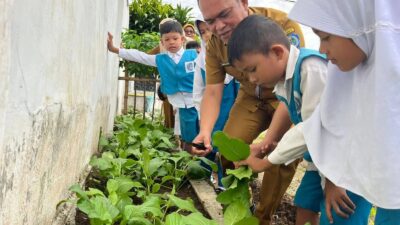Kadisdik Labuhanbatu Panen Bersama Siswa TK Pembina, Tanamkan Edukasi Ketahanan Pangan Sejak Dini.