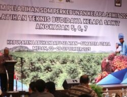 Puluhan petani sawit Labusel dilatih oleh PT RPN didukung BPDP dan Ditjenbun.