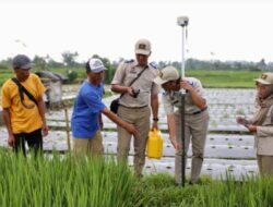 Mau Ikut PTSL? Ketahui Biaya Persiapannya yang Berlaku di Masing-Masing Wilayah