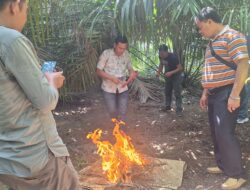 Polsek Kotapinang Gelar GSN di Desa Sisumut, Peredaran Narkoba Disebut Mulai Menurun.