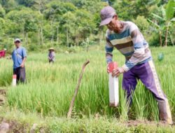 Pasang Patok, Cara Sederhana Cegah Sengketa Tanah dengan Tetangga