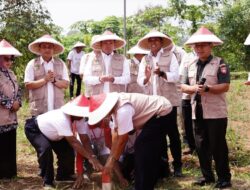 Mengenal Asas Kontradiktur Delimitasi, Kunci Kepastian Batas Bidang Tanah