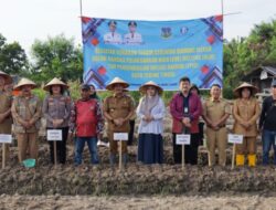 Walikota Tebing Tinggi Pimpin Gerakan Tanam Bawang Merah Di Kelurahan Mekar Sentosa.