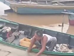 Buaya Terjerat Jaring Nelayan di Sungai Barumun, Warga Diminta Tingkatkan Kewaspadaan.