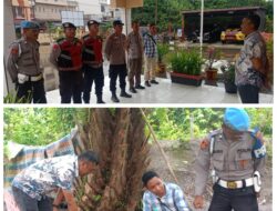 GSN Polsek Torgamba Sisir Dusun Pangarungan Satu, Hasil Nihil “SL Tak Ditemukan di Lokasi”.