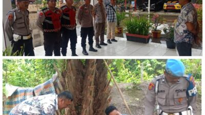GSN Polsek Torgamba Sisir Dusun Pangarungan Satu, Hasil Nihil “SL Tak Ditemukan di Lokasi”.