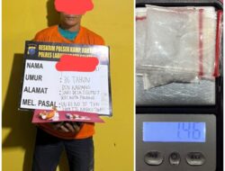 Polsek Kampung Rakyat Ringkus Pria di Kebun Sawit Pekan Tolan, 1,46 Gram Sabu Diamankan.